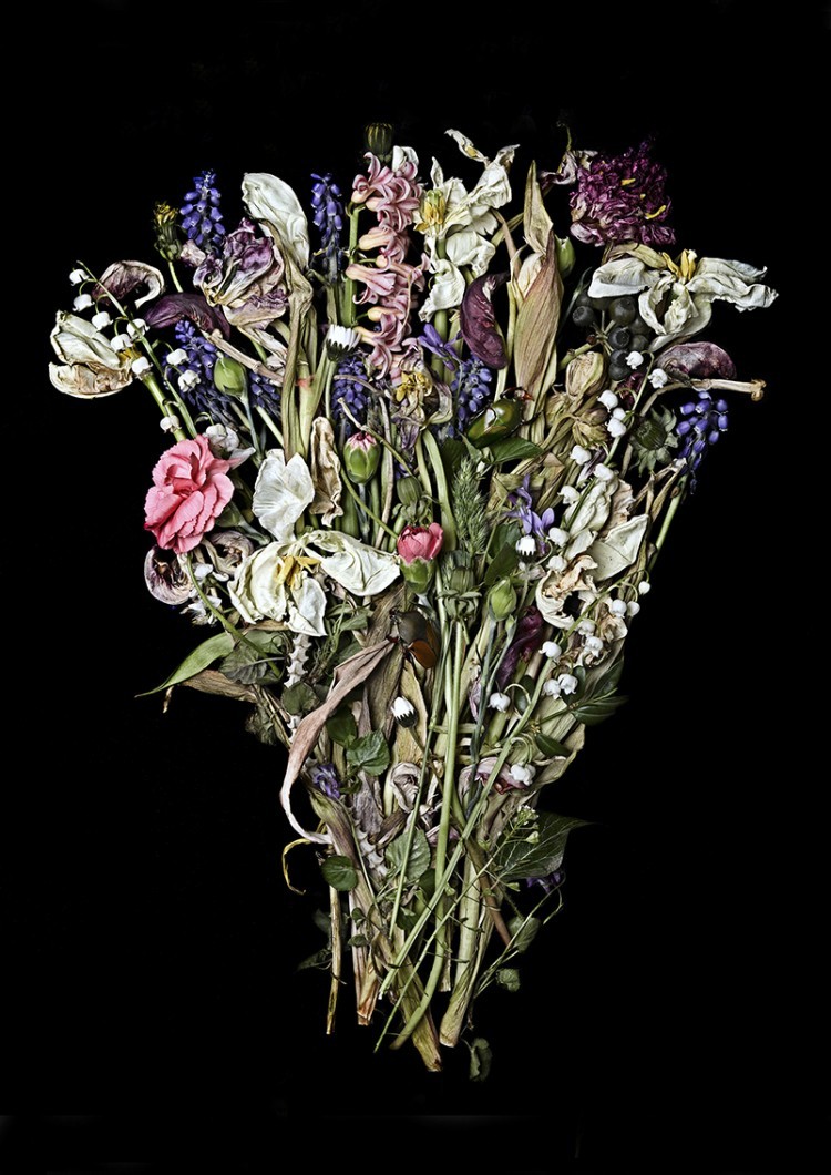 Art Alarm – Anne Schubert, Flowersnake, 120 × 150 cm, Fine Art Print